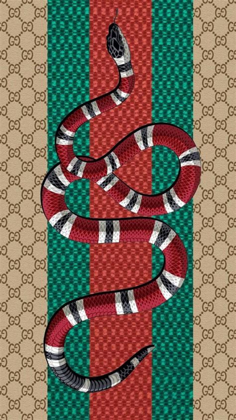 gucci snake models guy|gucci snake designs.